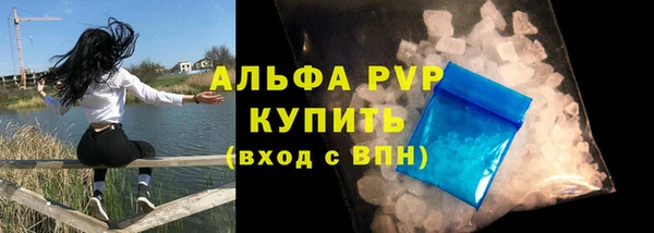 амф Новозыбков