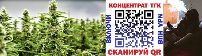 Купить  Закаменск  ТГК жижа 