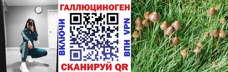 Купить Закаменск Псилоцибиновые грибы GOLDEN TEACHER
